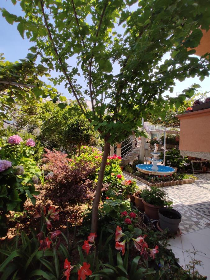 Apartments Baja Ulcinj Exterior photo
